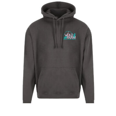 ADULT HOODIE Emb front printed back Thumbnail